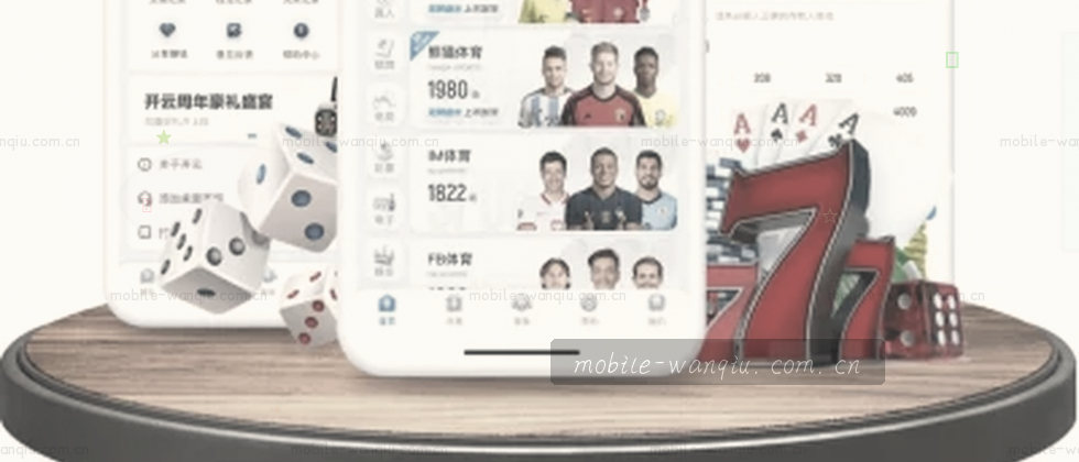 你的密码是一道门 数据在门后静默